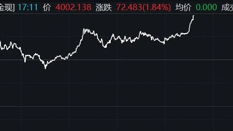 足球狂热者冲突事件：青岛球迷遭攻击，裁判被辱，辽宁球员诚恳道歉